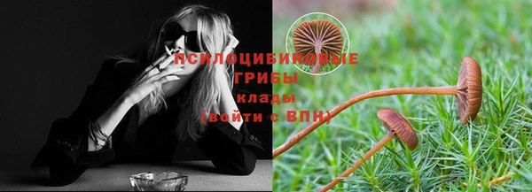 mix Алексин