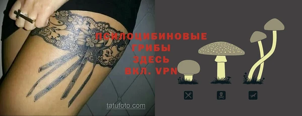 спиды Алзамай