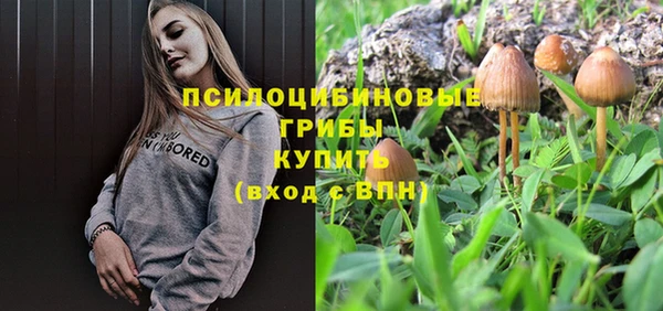 спиды Зеленокумск