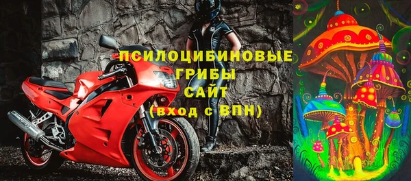 спиды Алзамай
